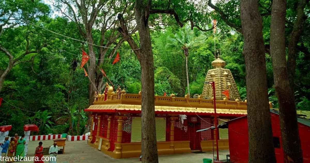 Forest trail to Japali Hanuman temple near Tirumala hills.